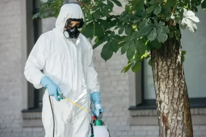 Post-Pest Control Treatment Safety Tips