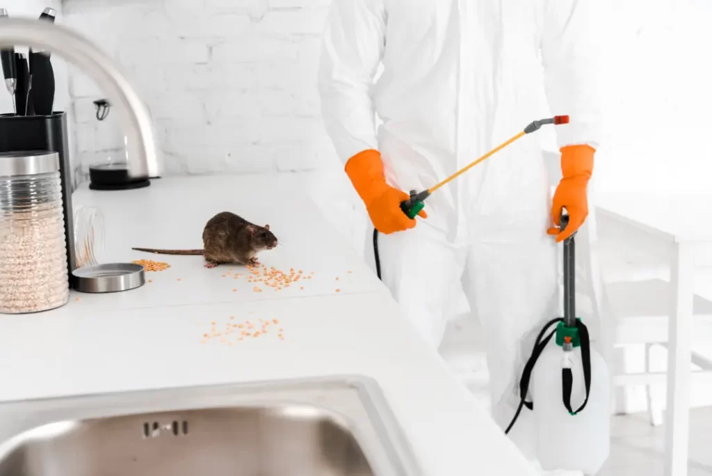 Health Risks Associated with Household Pests