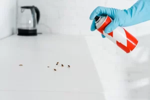 Understanding Pest Control Frequency
